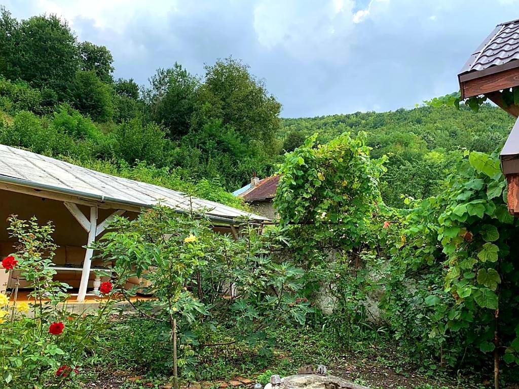 Casa Luna Betiluna Villa Oravita Exterior photo