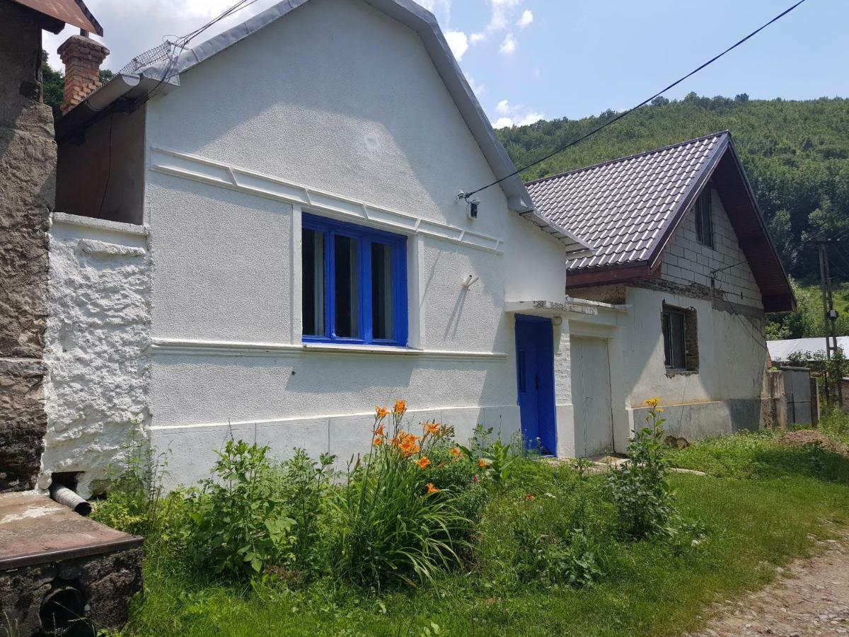 Casa Luna Betiluna Villa Oravita Exterior photo